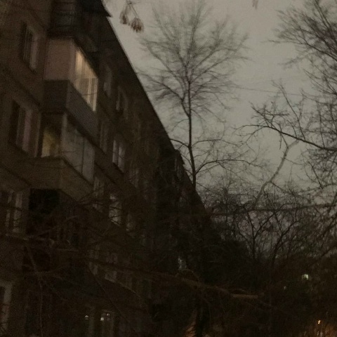 {black}хуепиналка❤